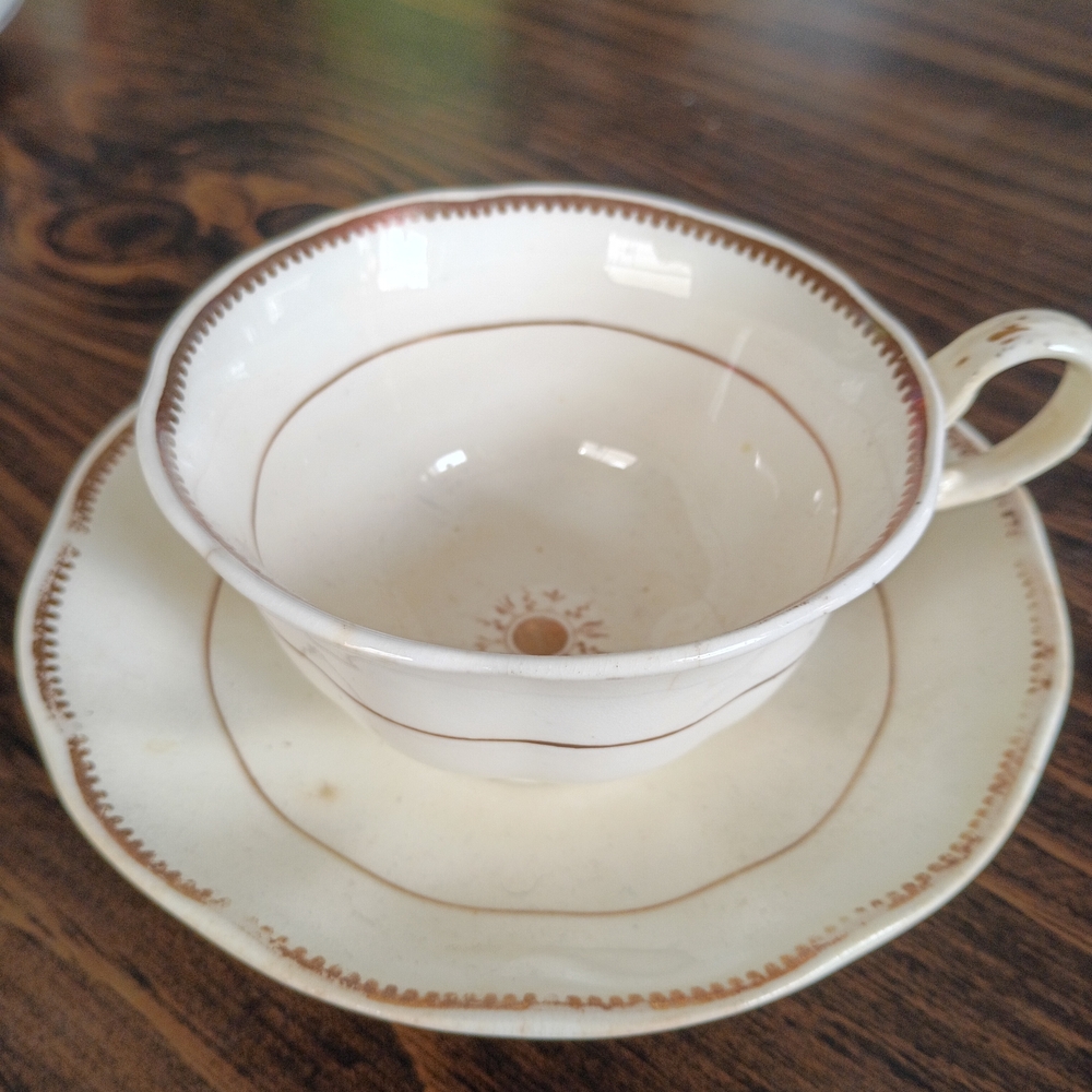 Elegant Cream and Brown Teacup and Saucer Set